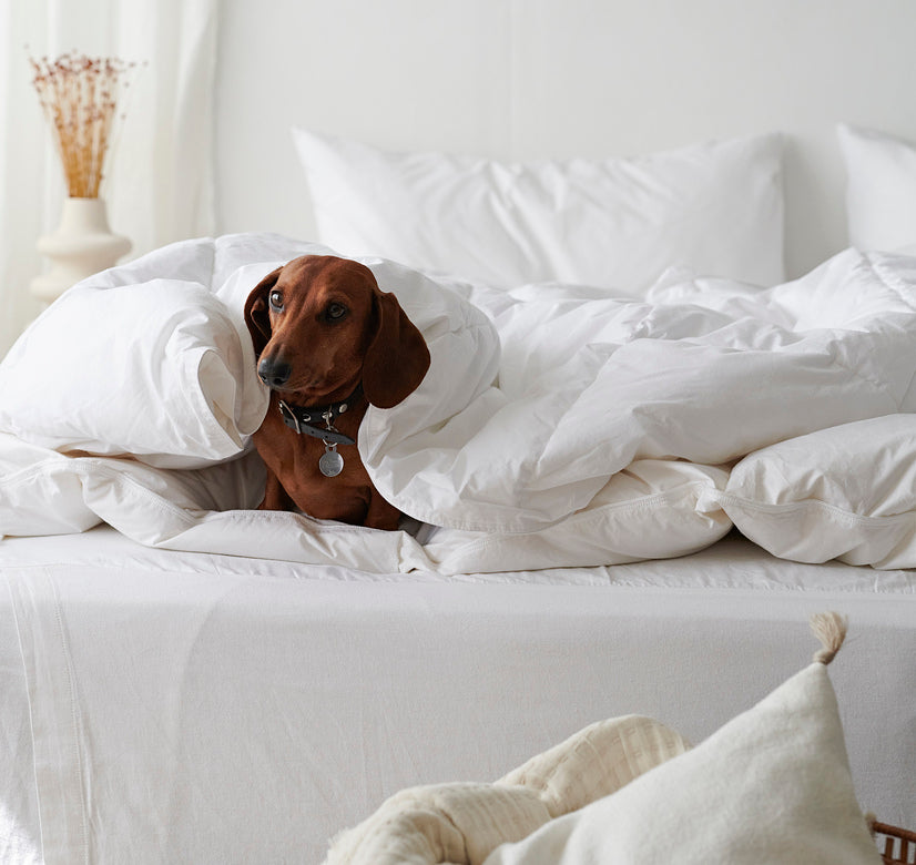 Hotelltäcke 680g 150x200 cm