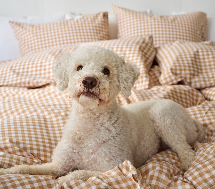 2-Dels Set Märta Ruta Gul -  Inkommande 2025-10-24